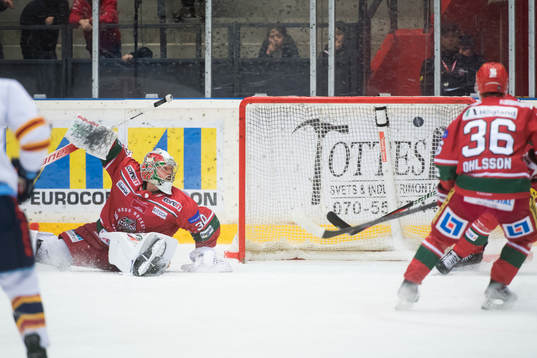 Modos målvakt Kristers Gudlevskis