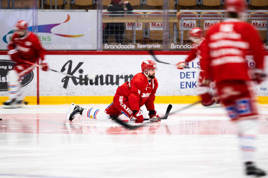 Timrås Robin Hanzl