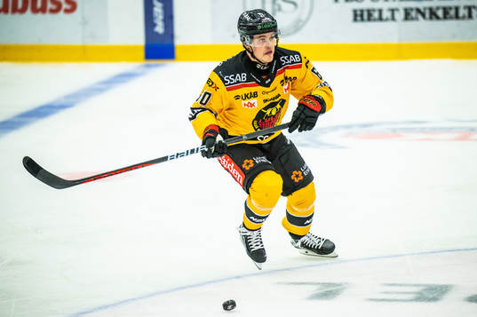 Luleås Julius Honka