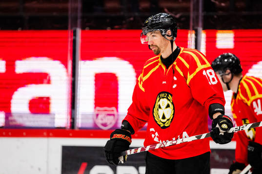 Brynäs Anton Rödin