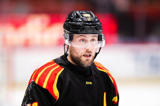Brynäs Johan Larsson