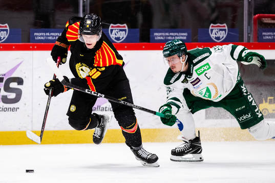 Brynäs David Sklenicka och Färjestads Joakim Nygård