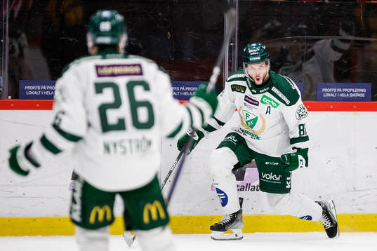 Bläddra bland fler bilder av Ishockey, SHL, Brynäs - Färjestad