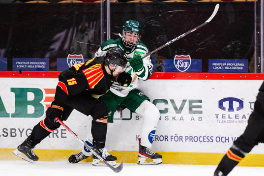 Brynäs Simon Bertilsson och Färjestads Wille Johansson