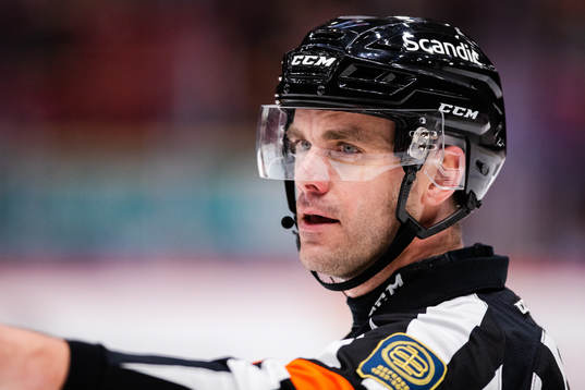 Domare Richard Magnusson