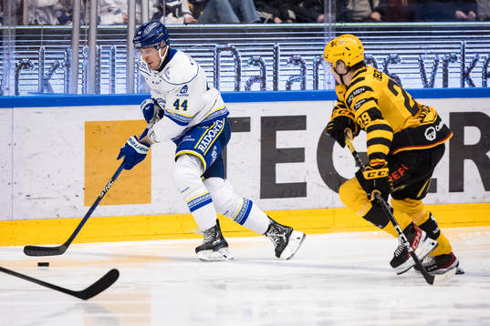 Leksands Carter Ashton