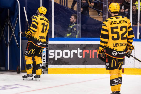 Skellefteås Max Lindholm deppar