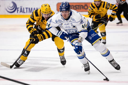 Leksands Carter Ashton och Skellefteås Albin Sundsvik