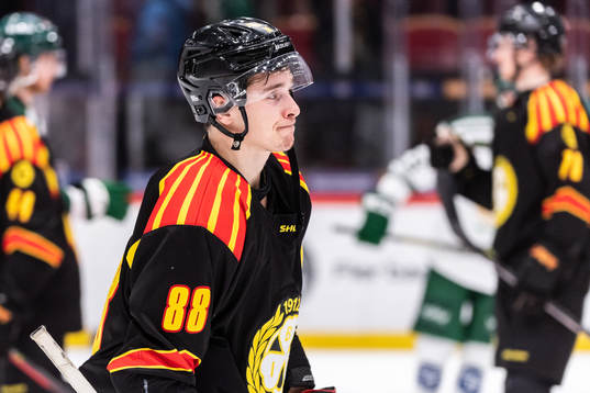 Brynäs Dmytro Timashov deppar