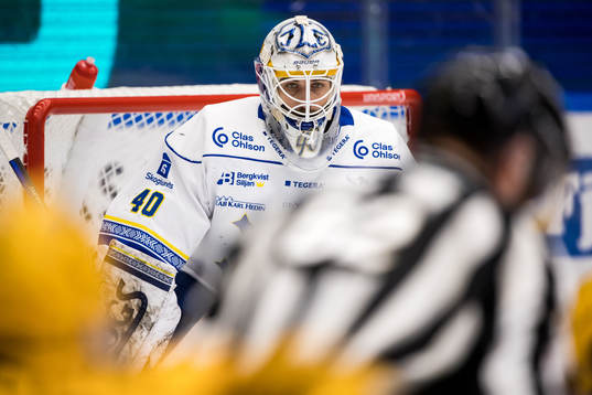 Leksands målvakt Mantas Armalis