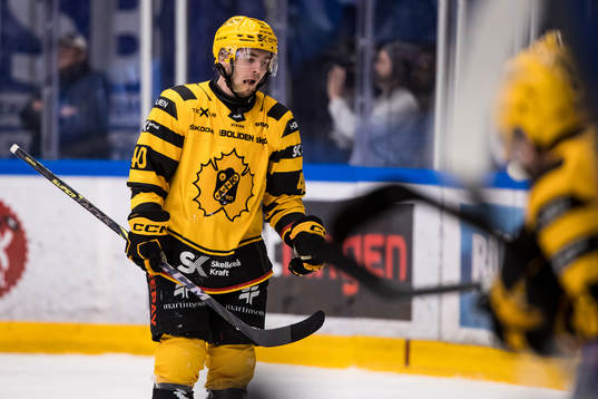 Skellefteås Andreas Wingerli deppar