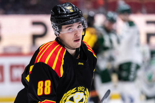 Brynäs Dmytro Timashov deppar