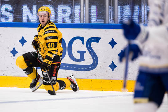 Skellefteås Andreas Wingerli deppar