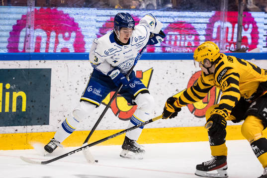 Leksands Anton Johansson och Skellefteås Albin Sundsvik