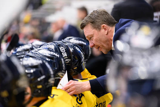 HV71s assisterande tränare Charles Berglund
