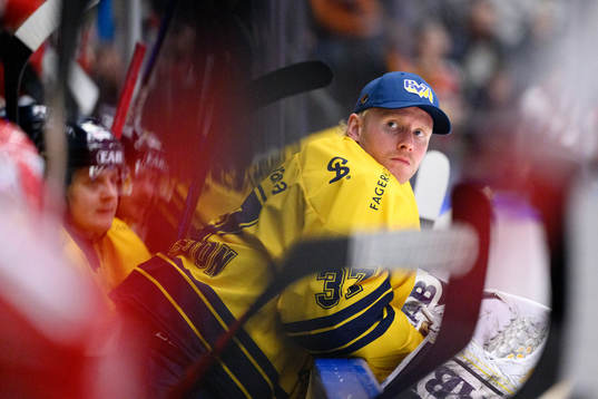 HV71s målvakt Jonas Gunnarsson