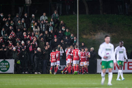 Sandvikens spelare jublar