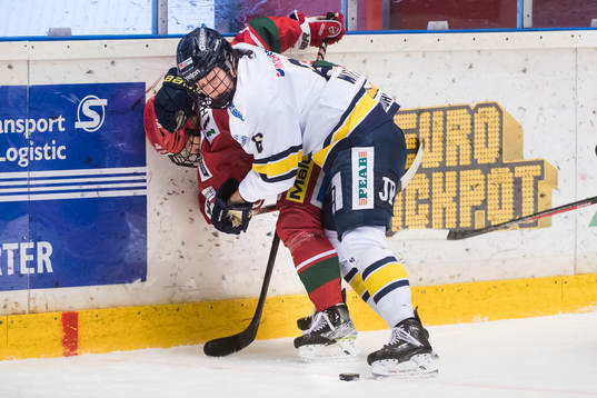 HV71s Charlotte Wittich