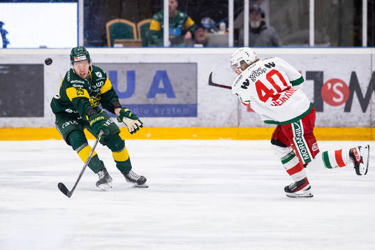 Björklövens Christopher Bengtsson