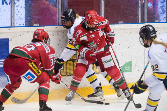 Modos Taylor Wabick och HV71s Mira Jungåker