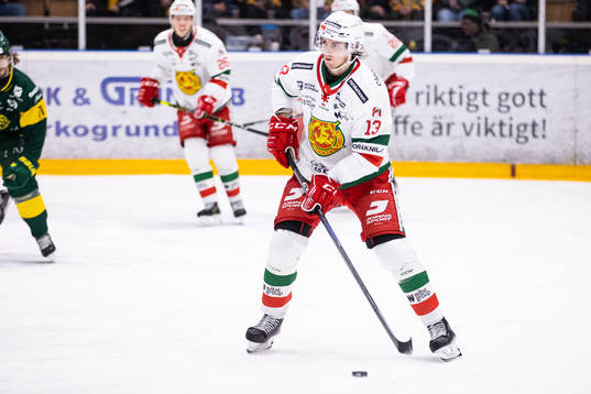 Moras Fabian Ilestedt
