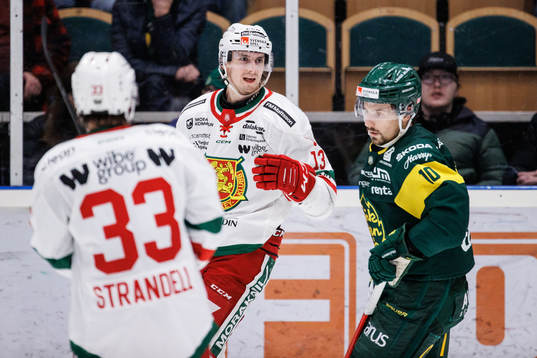 Moras Fabian Ilestedt jublar