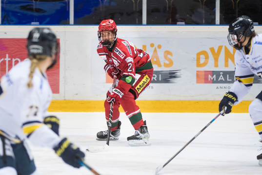 Modos Ebba Hedqvist