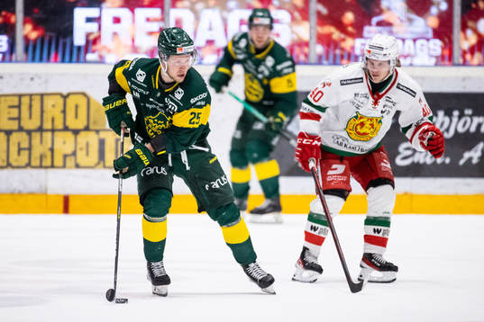 Björklövens Christopher Bengtsson
