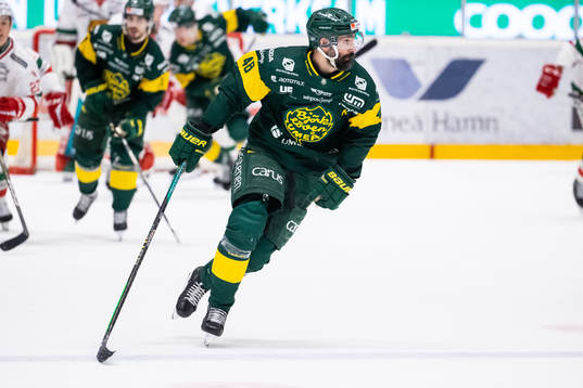 Björklövens Daniel Rahimi