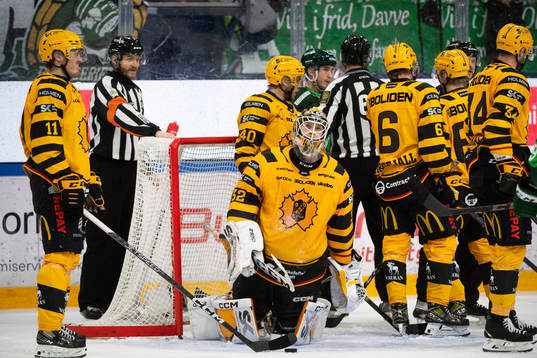 Skellefteås målvakt Linus Söderström