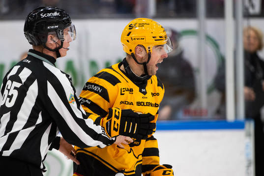 Domare Rasmus Strömberg och Skellefteås Joakim Lindström