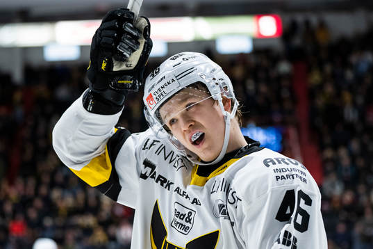 Västerås Liam Dower Nilsson