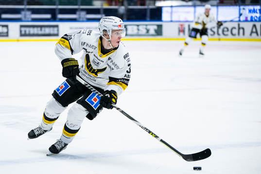 Västerås Ludvig Östman