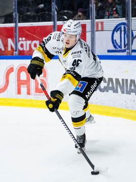 Västerås Liam Dower Nilsson