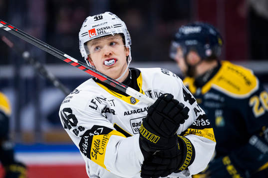 Västerås Liam Dower Nilsson