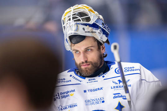 Leksands målvakt Mantas Armalis