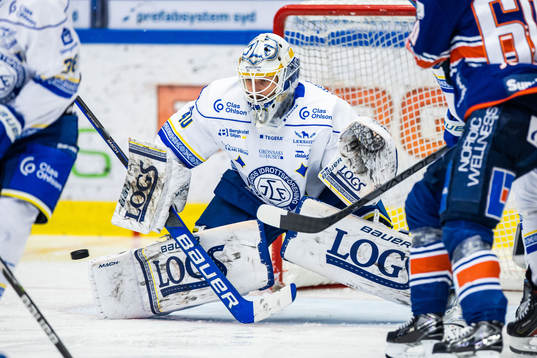 Leksands målvakt Mantas Armalis
