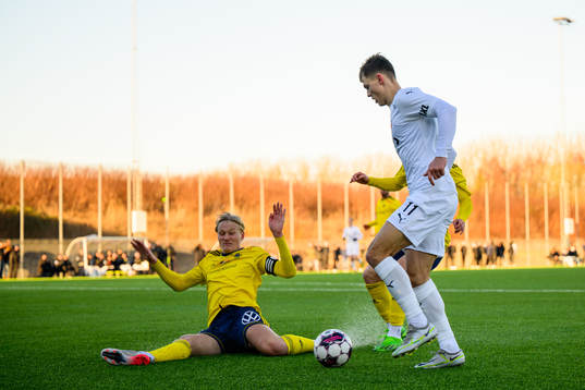Helsingborgs Erik Ring