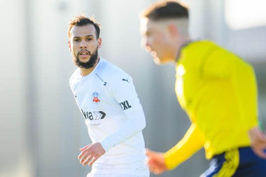 Helsingborgs Sumar Almadjed