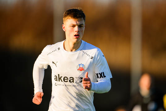 Helsingborgs Erik Ring