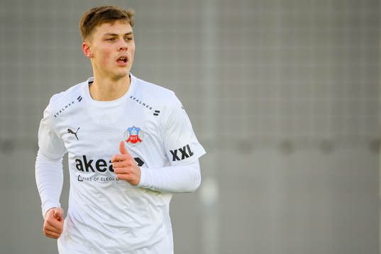 Helsingborgs Erik Ring