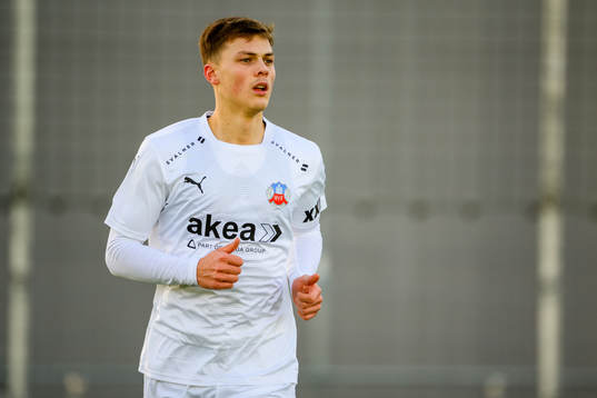 Helsingborgs Erik Ring
