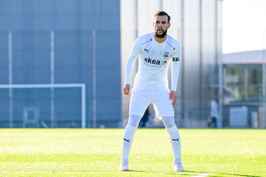 Helsingborgs Sumar Almadjed
