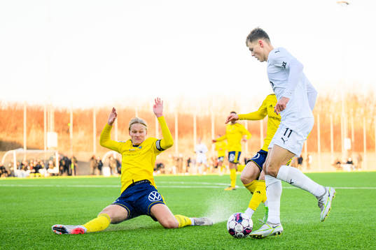 Helsingborgs Erik Ring