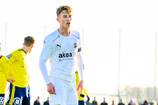 Helsingborgs Erik Ring