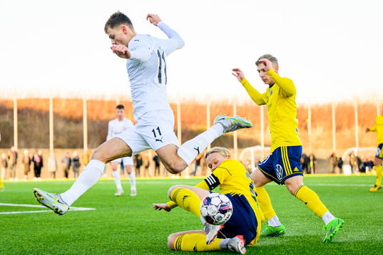 Helsingborgs Erik Ring