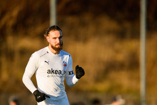 Helsingborgs Ali Suljic