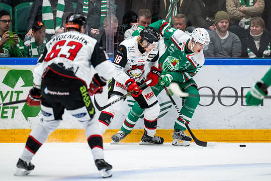 Malmö Redhawks Marcus Sylvegård och Rögles William