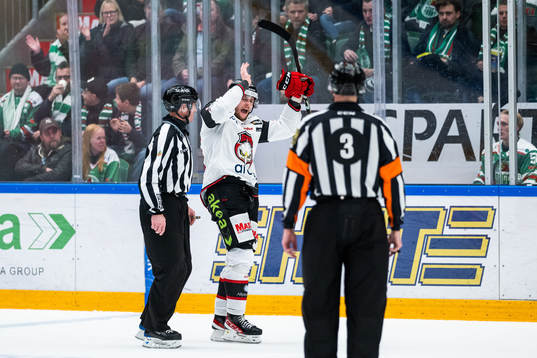 Malmö Redhawks Carl Persson reagerar på ett domslut