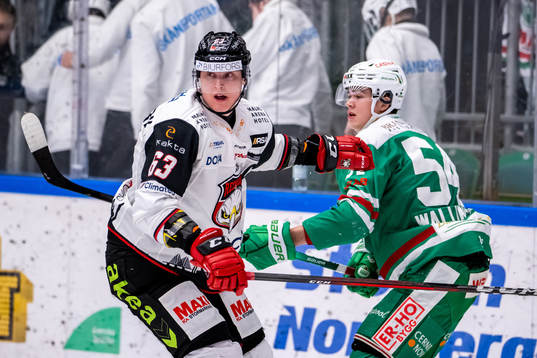 Malmö Redhawks Fredrik Händemark  och Rögles William